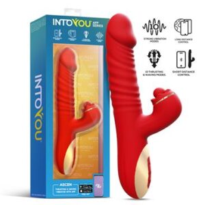 ascen-vibrador-con-thrusting-y-waving-y-app-usb-magnetico-esther-dentro-de-ti(10)