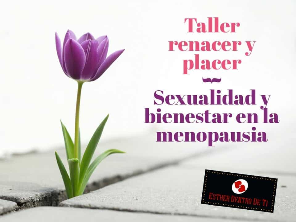 taller-renacer-y-placer-esther-dentro-de-ti